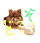 チョコちゃんスタンプ♡*(日常系2)（個別スタンプ：27）