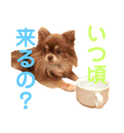チョコちゃんスタンプ♡*(日常系2)（個別スタンプ：32）