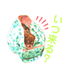 チョコちゃんスタンプ♡*(日常系2)（個別スタンプ：33）