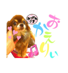 チョコちゃんスタンプ♡*(日常系2)（個別スタンプ：36）