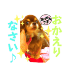 チョコちゃんスタンプ♡*(日常系2)（個別スタンプ：37）