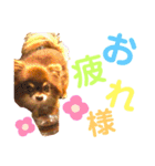 チョコちゃんスタンプ♡*(日常系2)（個別スタンプ：39）