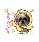 ちゃたろう2（個別スタンプ：2）