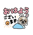 ちゃたろう2（個別スタンプ：6）