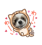 ちゃたろう2（個別スタンプ：8）