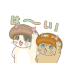 きのこ×ねこ「茸ねこ」日常会話スタンプ（個別スタンプ：8）