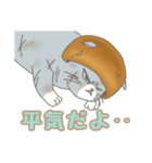 きのこ×ねこ「茸ねこ」日常会話スタンプ（個別スタンプ：13）