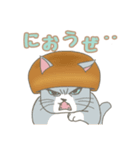 きのこ×ねこ「茸ねこ」日常会話スタンプ（個別スタンプ：28）