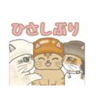 きのこ×ねこ「茸ねこ」日常会話スタンプ（個別スタンプ：31）