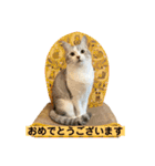 花と琥珀と実々-4（個別スタンプ：4）