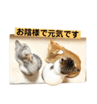 花と琥珀と実々-4（個別スタンプ：9）