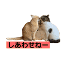花と琥珀と実々-4（個別スタンプ：17）
