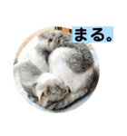 花と琥珀と実々-4（個別スタンプ：20）