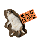 花と琥珀と実々-4（個別スタンプ：22）