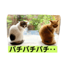 花と琥珀と実々-4（個別スタンプ：29）