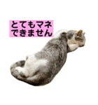 花と琥珀と実々-4（個別スタンプ：32）