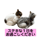 花と琥珀と実々-4（個別スタンプ：33）