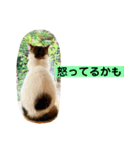 花と琥珀と実々-4（個別スタンプ：34）