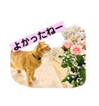 花と琥珀と実々-4（個別スタンプ：35）