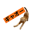 花と琥珀と実々-4（個別スタンプ：39）