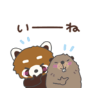 レッサーパンダのスーさん（個別スタンプ：34）