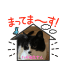 ハチ姐さんスタンプⅡ（個別スタンプ：1）