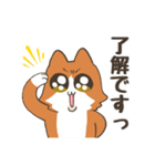 ねこちゃんと毎日いっしょ（個別スタンプ：1）