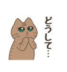 ねこちゃんと毎日いっしょ（個別スタンプ：8）