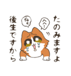 ねこちゃんと毎日いっしょ（個別スタンプ：13）