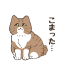 ねこちゃんと毎日いっしょ（個別スタンプ：33）