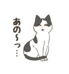 ねこちゃんと毎日いっしょ（個別スタンプ：34）