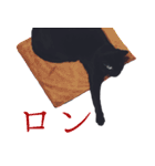 黒猫のくじら（個別スタンプ：12）