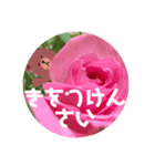 薔薇とコニーandブラウン広島弁バージョン（個別スタンプ：2）