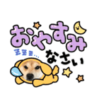 柴犬エル（個別スタンプ：37）