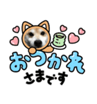 柴犬エル（個別スタンプ：38）