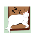 私は本物の猫です（個別スタンプ：31）