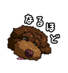 ぷぅちゃんのLINEスタンプ（個別スタンプ：9）