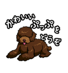 ぷぅちゃんのLINEスタンプ（個別スタンプ：16）