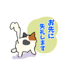 毎日使えるモフねこさん（個別スタンプ：15）