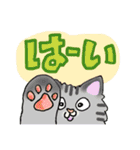 毎日使えるモフねこさん（個別スタンプ：23）