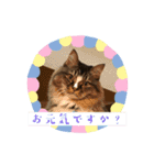 マイキーG3スタンプ 夏（個別スタンプ：16）