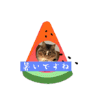 マイキーG3スタンプ 夏（個別スタンプ：17）