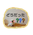 ペキニーズ♪︎♪︎♪︎（個別スタンプ：19）