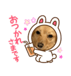 コタ♡スタンプ（個別スタンプ：3）