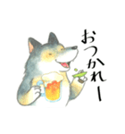 オオカミ犬たちの日常使えるスタンプ3(夏)（個別スタンプ：1）