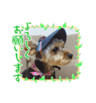 可愛ぃコマルちゃん（個別スタンプ：1）