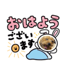 可愛ぃコマルちゃん（個別スタンプ：3）