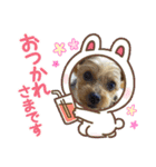 可愛ぃコマルちゃん（個別スタンプ：7）