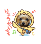 可愛ぃコマルちゃん（個別スタンプ：11）