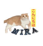 ミラたんスタンプD（個別スタンプ：2）